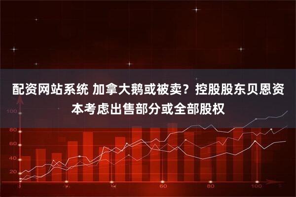 配资网站系统 加拿大鹅或被卖？控股股东贝恩资本考虑出售部分或全部股权